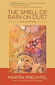 the-smell-of-rain-dust