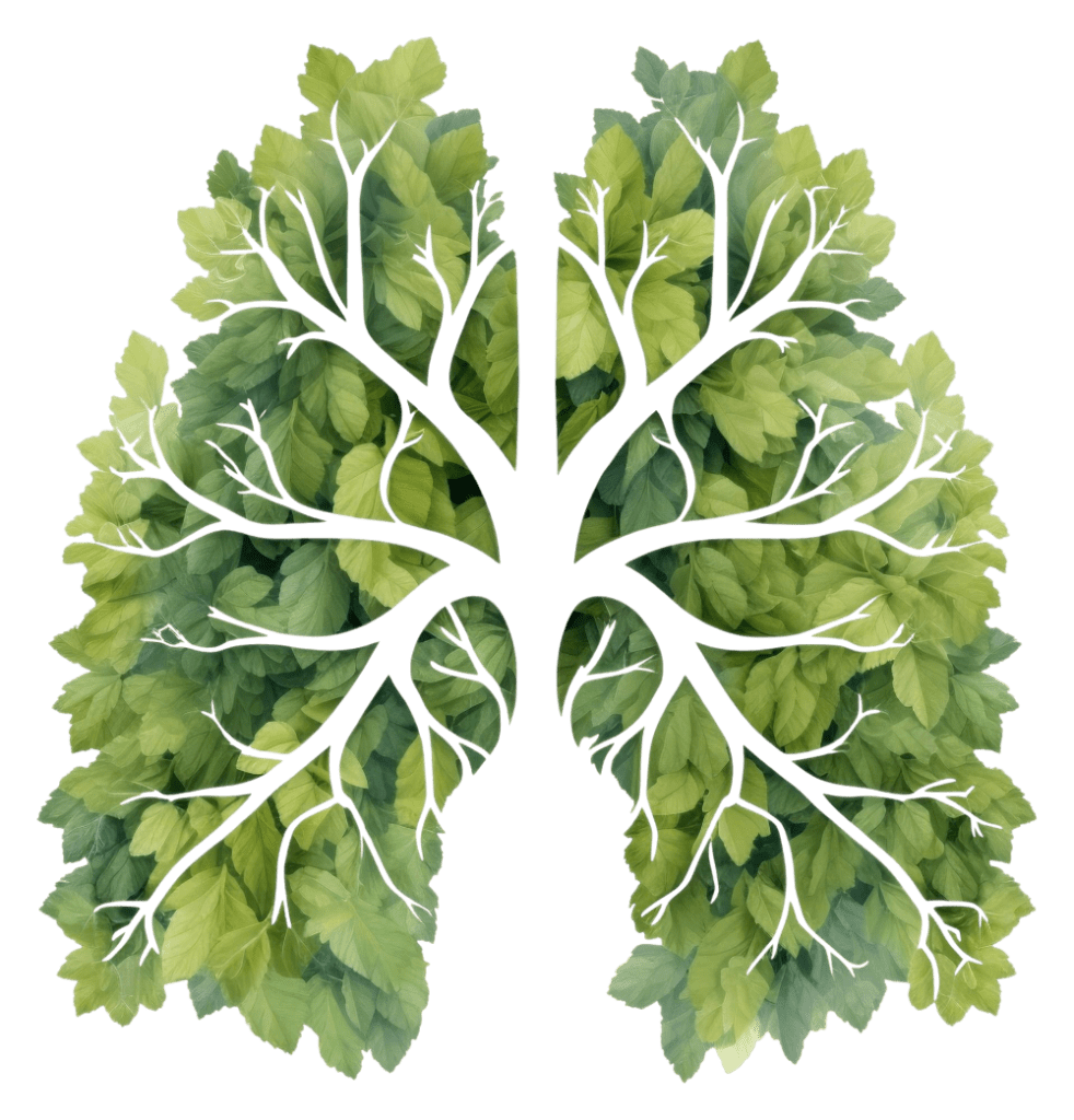 Online breathwork classes.